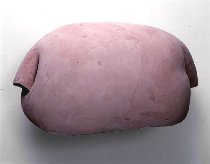 Peter Shelton - Pink Loaf