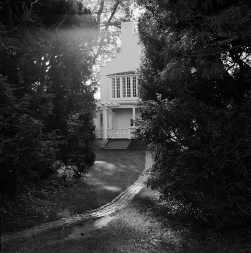 Shellburne Thurber photo entitled Back of Aspet seen through hemlock hedge